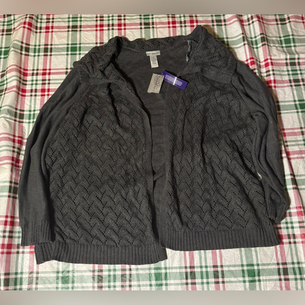 Catherine’s Women’s Plus Size Sweater Grey Sliver Glitter Size 4X 30/32W NWT